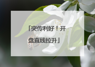 突传利好！开盘直线拉升