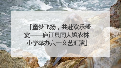 童梦飞扬，共赴欢乐盛宴——庐江县同大镇农林小学举办六一文艺汇演