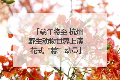 端午将至 杭州野生动物世界上演花式“粽”动员
