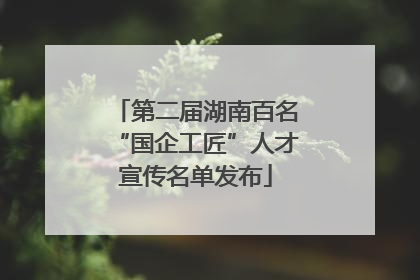 第二届湖南百名“国企工匠”人才宣传名单发布