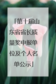 第十届山东省省长质量奖申报单位及个人名单公示