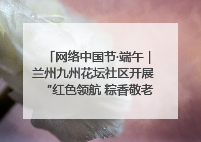 网络中国节·端午｜兰州九州花坛社区开展“红色领航 粽香敬老”端午主题活动