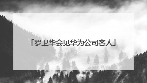 罗卫华会见华为公司客人