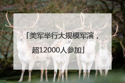 美军举行大规模军演，超12000人参加