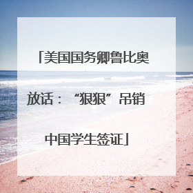美国国务卿鲁比奥放话：“狠狠”吊销中国学生签证
