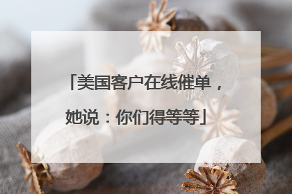 美国客户在线催单，她说：你们得等等