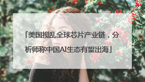 美国搅乱全球芯片产业链，分析师称中国AI生态有望出海