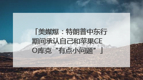 美媒爆：特朗普中东行期间承认自己和苹果CEO库克“有点小问题”