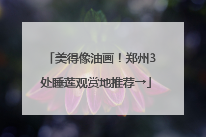 美得像油画！郑州3处睡莲观赏地推荐→