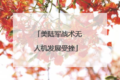 美陆军战术无人机发展受挫