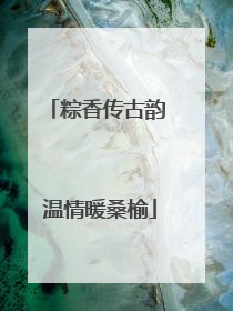 粽香传古韵 温情暖桑榆