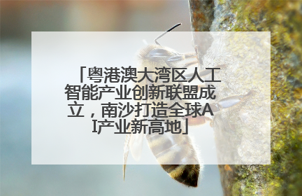 粤港澳大湾区人工智能产业创新联盟成立，南沙打造全球AI产业新高地