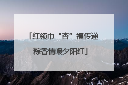 红领巾“杏”福传递 粽香情暖夕阳红