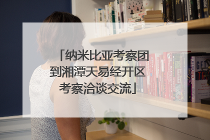纳米比亚考察团到湘潭天易经开区考察洽谈交流