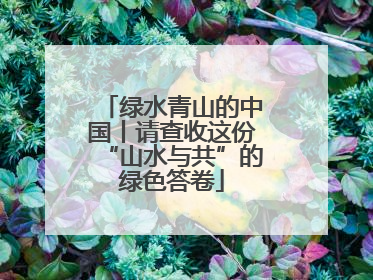绿水青山的中国丨请查收这份“山水与共”的绿色答卷