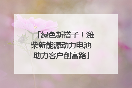 绿色新搭子！潍柴新能源动力电池助力客户创富路