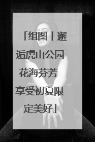 组图丨邂逅虎山公园花海芬芳 享受初夏限定美好