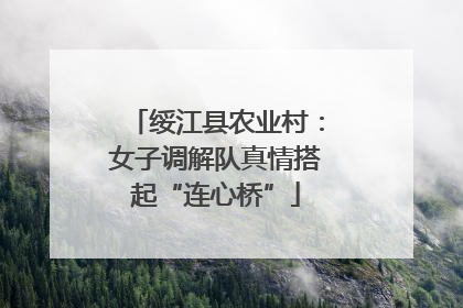 绥江县农业村：女子调解队真情搭起“连心桥”