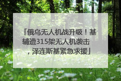 俄乌无人机战升级！基辅遭315架无人机袭击，泽连斯基紧急求援