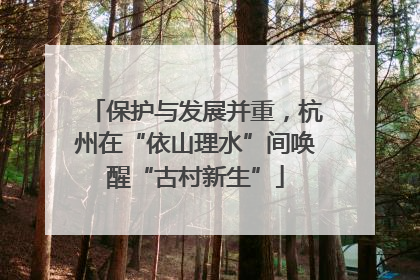 保护与发展并重，杭州在“依山理水”间唤醒“古村新生”