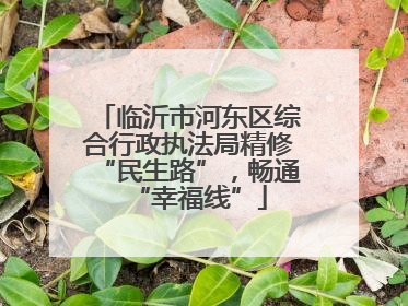 临沂市河东区综合行政执法局精修“民生路”，畅通“幸福线”