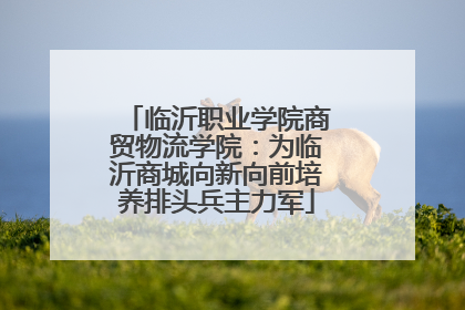 临沂职业学院商贸物流学院：为临沂商城向新向前培养排头兵主力军