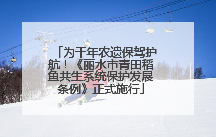 为千年农遗保驾护航！《丽水市青田稻鱼共生系统保护发展条例》正式施行