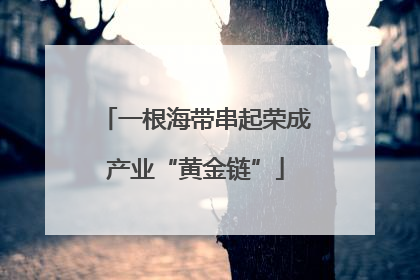 一根海带串起荣成产业“黄金链”