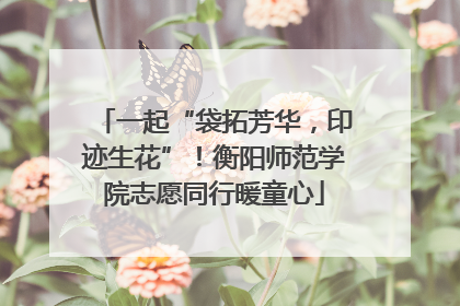 一起“袋拓芳华，印迹生花”！衡阳师范学院志愿同行暖童心