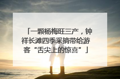 一颗杨梅旺三产，钟祥长滩四季采摘带给游客“舌尖上的惊喜”