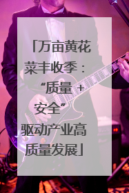 万亩黄花菜丰收季：“质量 + 安全” 驱动产业高质量发展