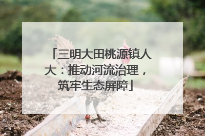 三明大田桃源镇人大：推动河流治理，筑牢生态屏障