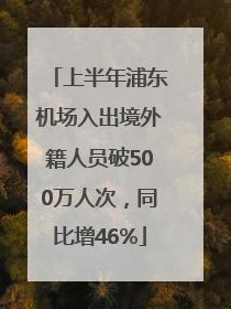 上半年浦东机场入出境外籍人员破500万人次，同比增46%