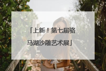 上新！第七届骆马湖沙雕艺术展