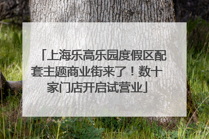 上海乐高乐园度假区配套主题商业街来了！数十家门店开启试营业