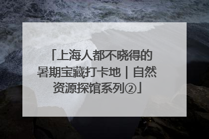 上海人都不晓得的 暑期宝藏打卡地｜自然资源探馆系列②