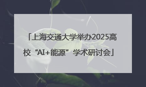 上海交通大学举办2025高校“AI+能源”学术研讨会