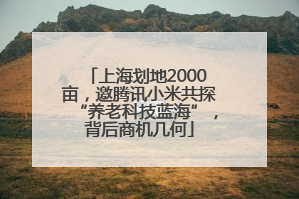 上海划地2000亩，邀腾讯小米共探“养老科技蓝海”，背后商机几何