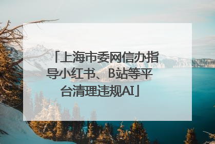 上海市委网信办指导小红书、B站等平台清理违规AI