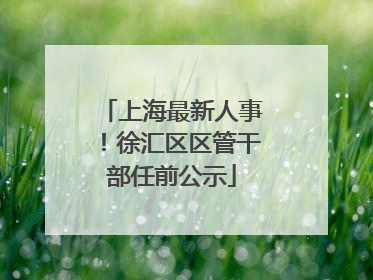 上海最新人事！徐汇区区管干部任前公示