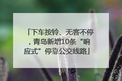 下车按铃、无客不停，青岛新增10条“响应式”停靠公交线路