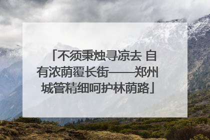 不须秉烛寻凉去 自有浓荫覆长街——郑州城管精细呵护林荫路