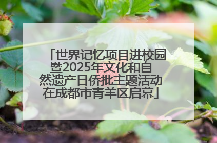 世界记忆项目进校园暨2025年文化和自然遗产日侨批主题活动在成都市青羊区启幕