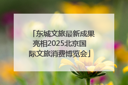 东城文旅最新成果亮相2025北京国际文旅消费博览会