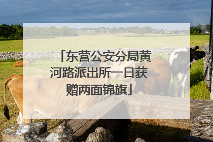 东营公安分局黄河路派出所一日获赠两面锦旗