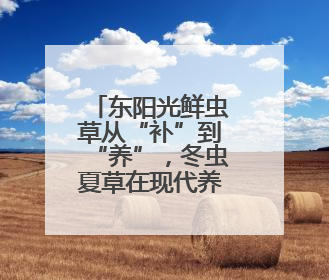 东阳光鲜虫草从“补”到“养”，冬虫夏草在现代养生中的新打开方式