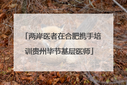 两岸医者在合肥携手培训贵州毕节基层医师