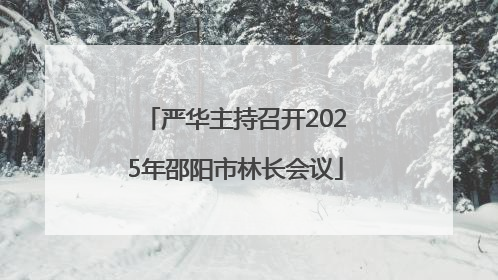 严华主持召开2025年邵阳市林长会议