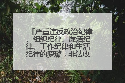 严重违反政治纪律、组织纪律、廉洁纪律、工作纪律和生活纪律的罗璇，非法收受他人巨额财物