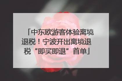 中东欧游客体验离境退税！宁波开出离境退税“即买即退”首单